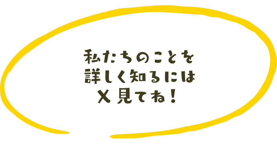 私たちのことを詳しく知るにはX見てね